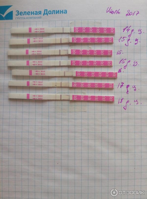 Как правильно использовать Milatest на овуляцию: Отзывы и секреты эффективности