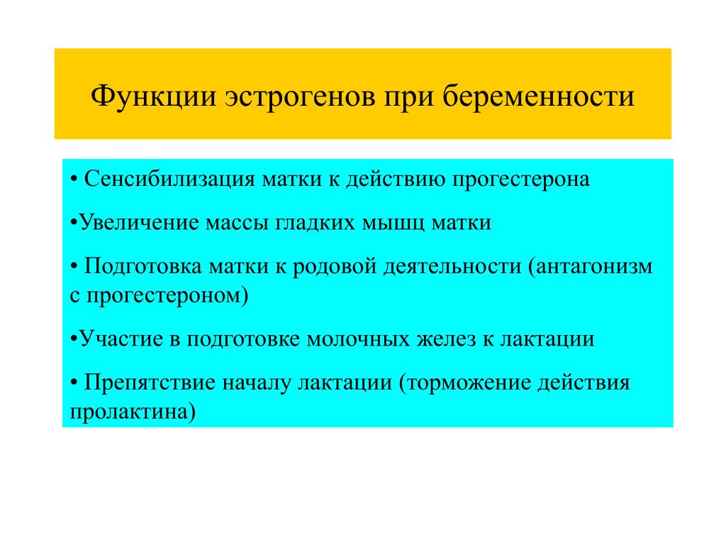 Гормоном беременности называют