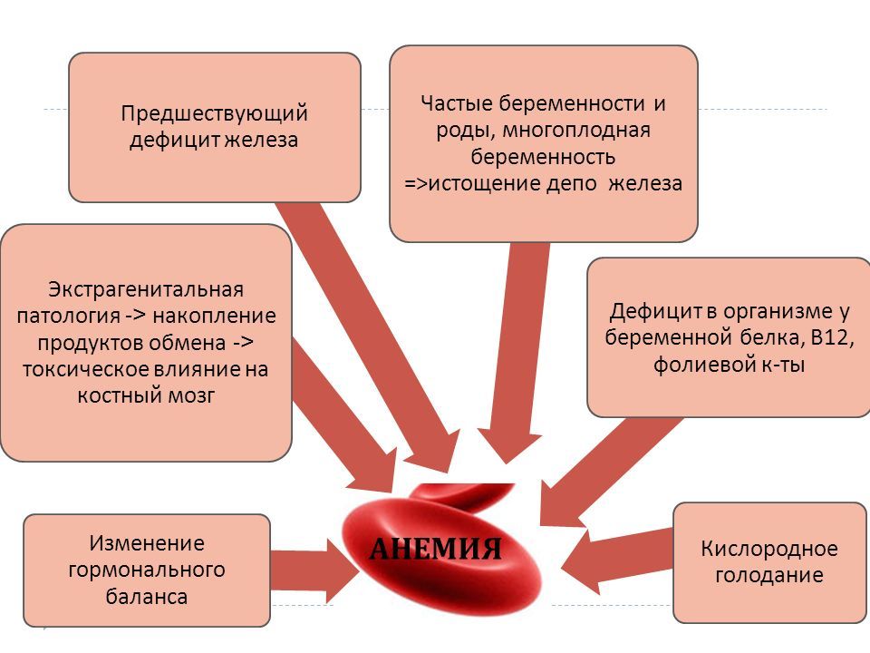 Патология беременности. Экстрагенитальная патология и беременность. Классификация экстрагенитальных заболеваний. Экстрагенитальные патологии заболевания. Особенности экстрагенитальной патологии.