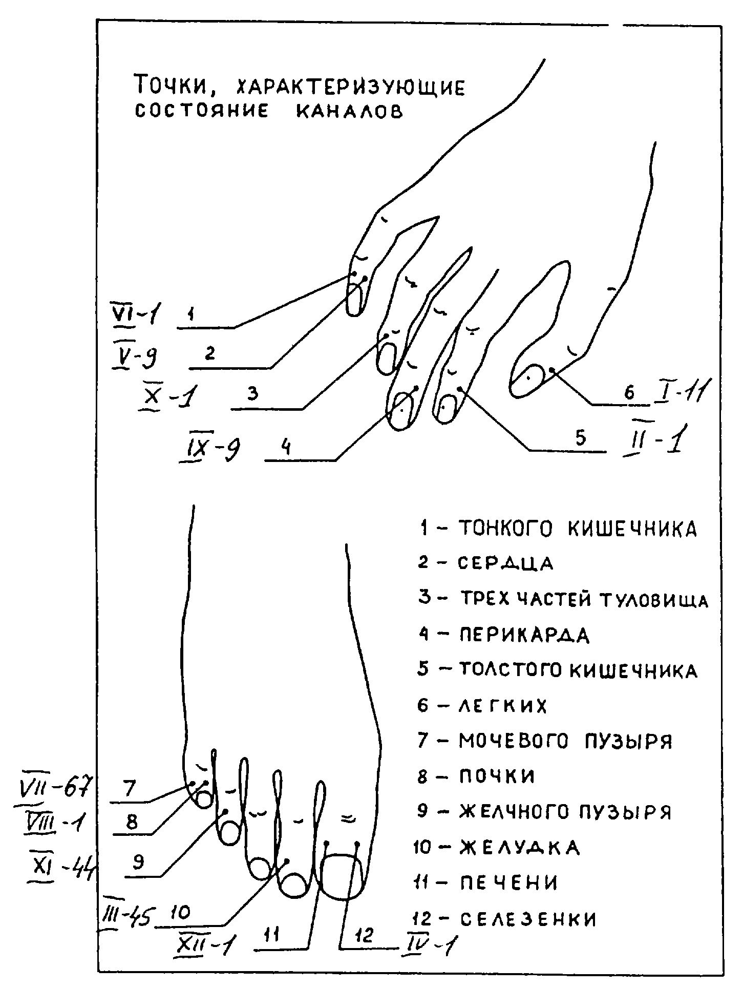 Какие точки массировать на руке. Су-Джок акупунктурные точки. Рефлексотерапия схема точек руки. Иглоукалывание точки на руках схема. Акупунктурные точки ладони схема.