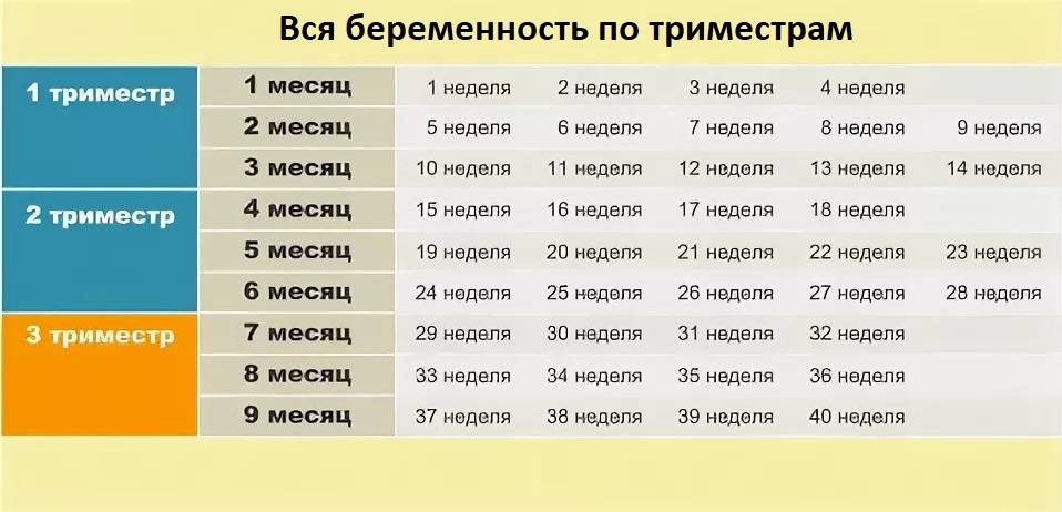 10 недель это сколько в месяцах: Раскрываем временные секреты