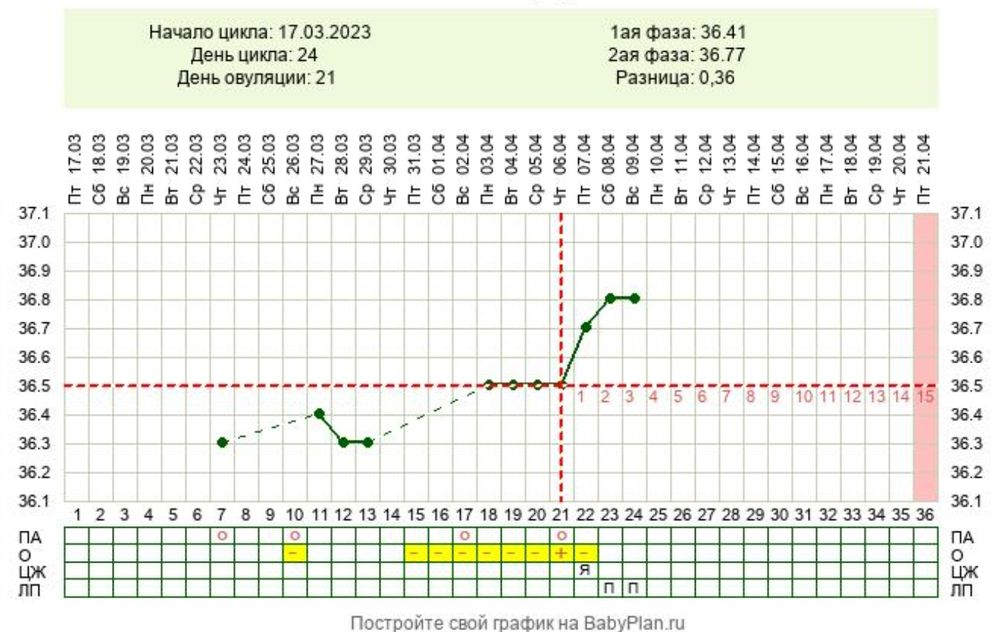 График овуляции. Как определить число овуляции.