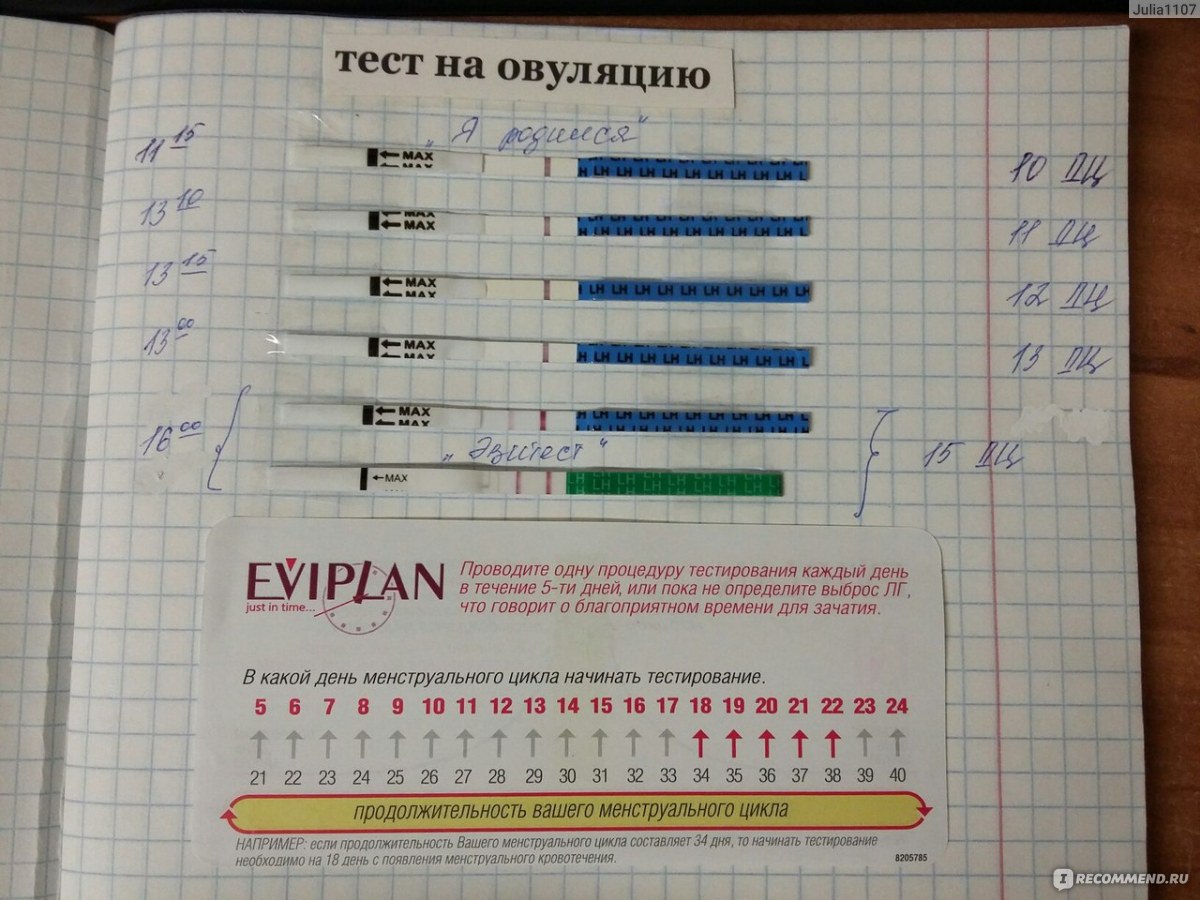 Как правильно делать тест на овуляцию: Секреты точного результата