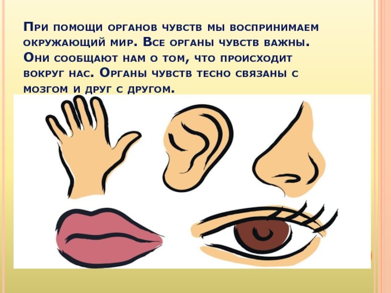 Как развивается зрение и слух младенца: Удивительное путешествие в мир чувств