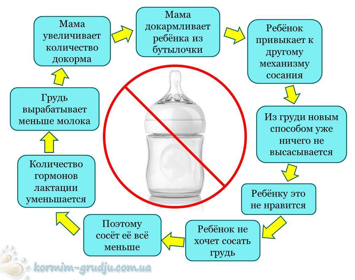 Как правильно кипятить бутылочку для новорожденного: Советы для заботливых родителей