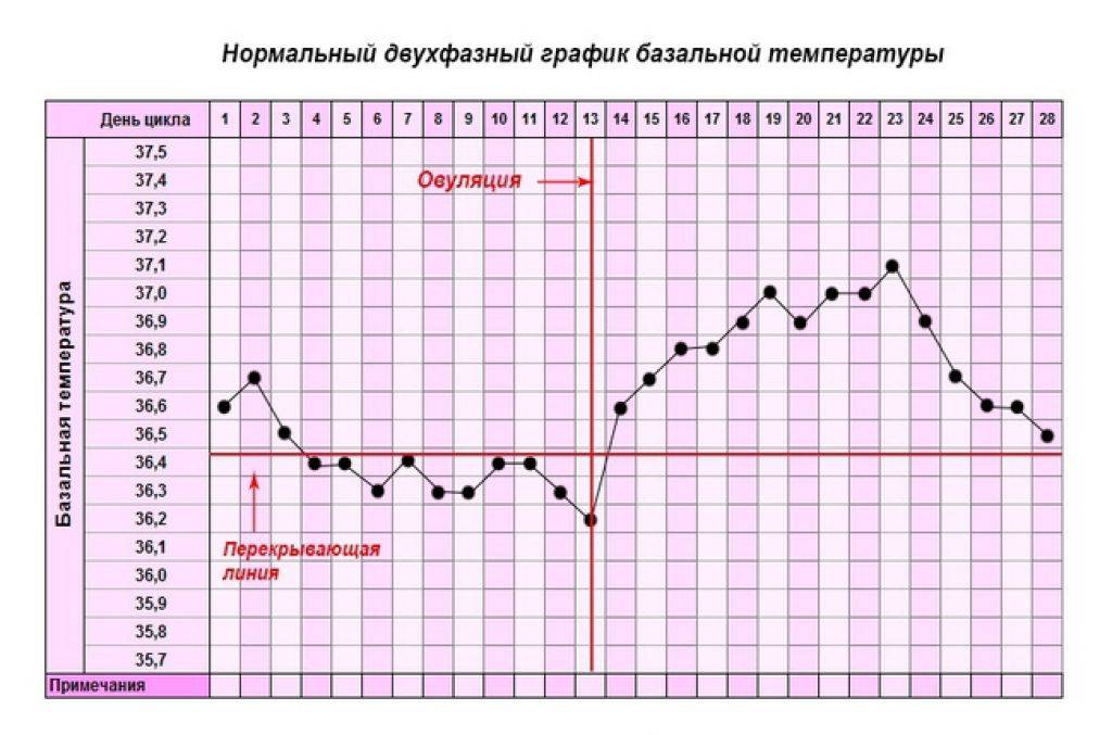 Как измерить базальную температуру при беременности: Секреты точного мониторинга