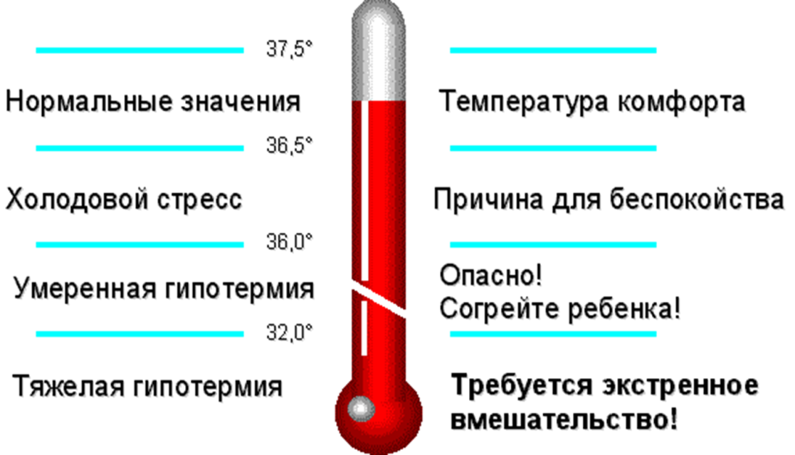 Температура 39.6 у ребенка что делать. Температура тела. Как поднять температуру. Низкая температура тела причины. Какая температура считается нормальной.