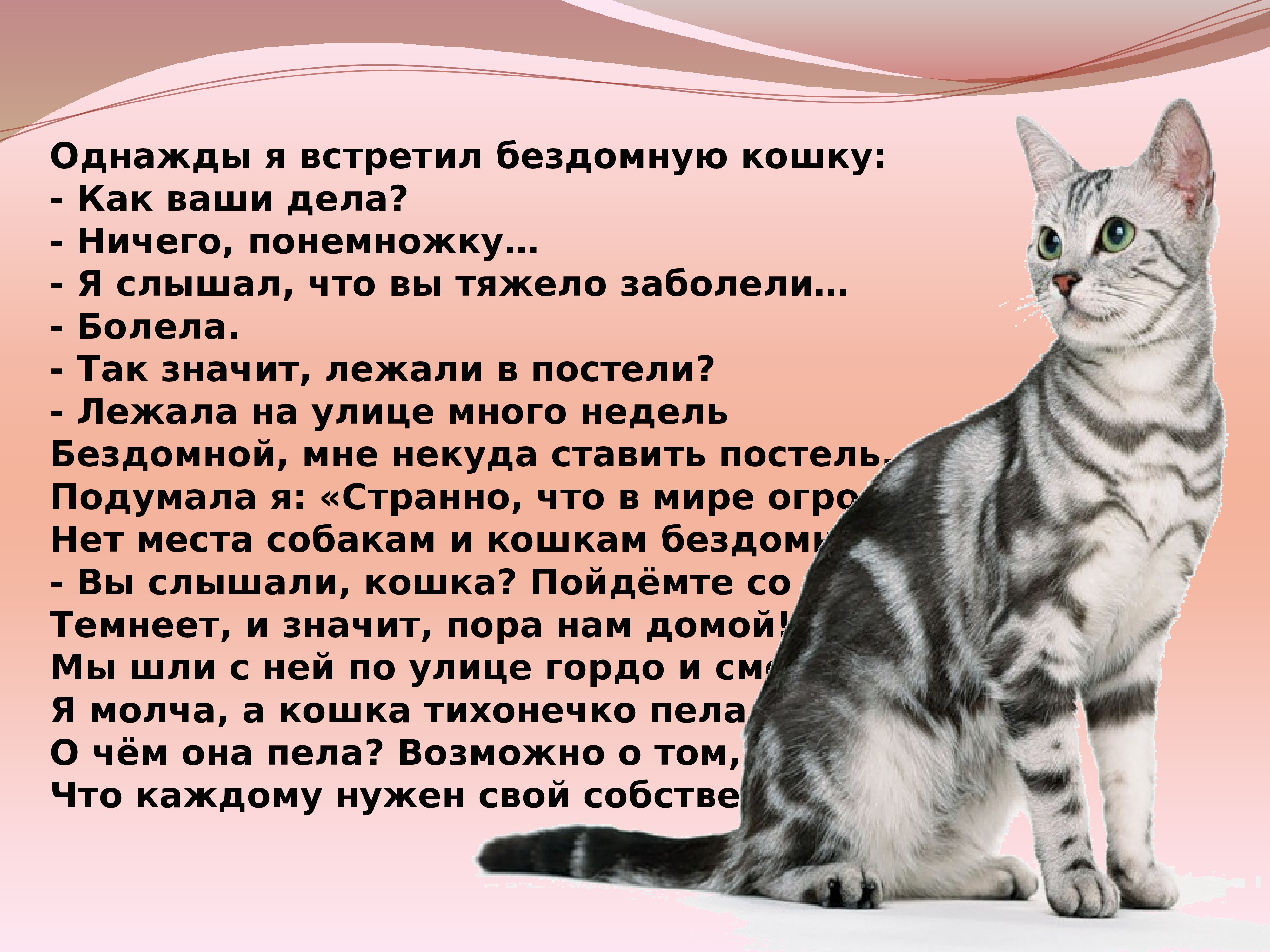 Мире животных про кошку. Рассказ о котах. Стихи про домашних кошек. Рассказ о домашних кошках. Стихи про кошек красивые.