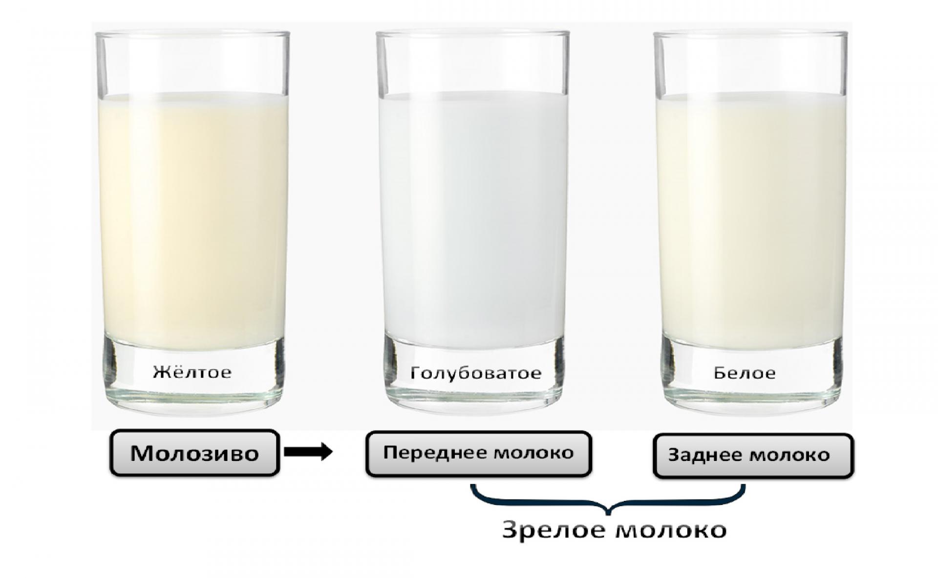 если в одну грудь приходит больше молока фото 100