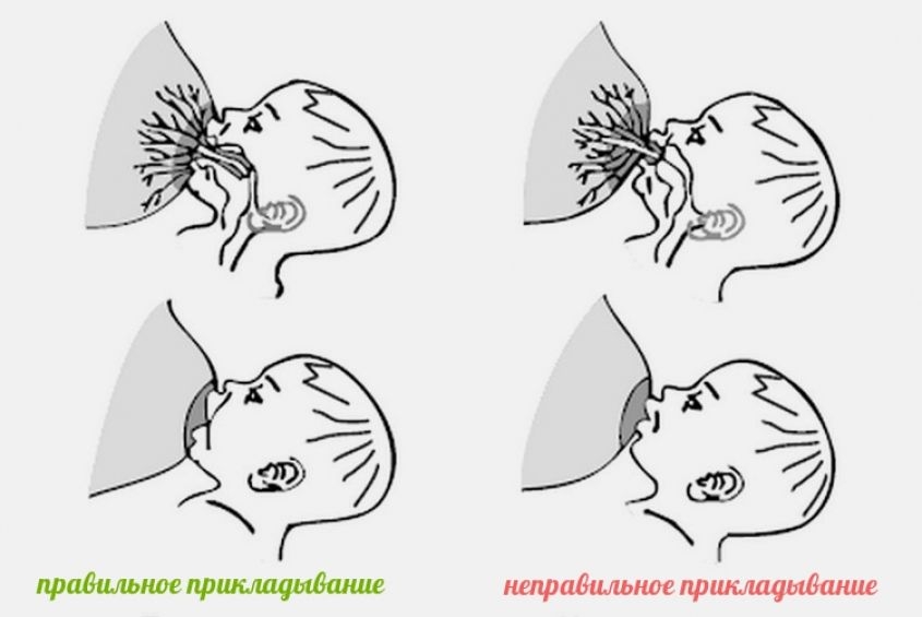 Как правильно кормить новорожденного грудным молоком: Секреты сытого малыша