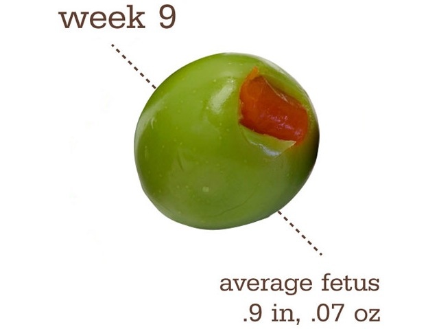 Какого размера плод. 9 Неделя беременности размер плода сравнение с фруктами. Размер плода на 9 неделе беременности фрукт. Размер малыша на 9 неделе беременности.