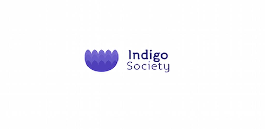 Indigo sin new. Дети индиго логотип. Indigo sin фотосессии. RM Indigo.