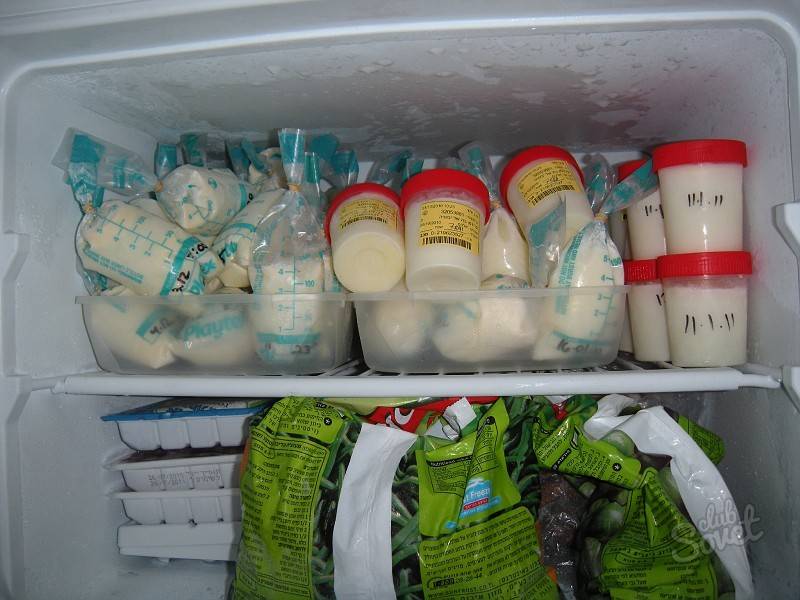 Как долго можно хранить грудное молоко в холодильнике: Секреты правильного хранения