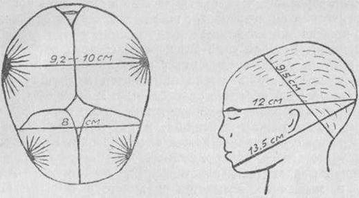 Длина головы новорожденного