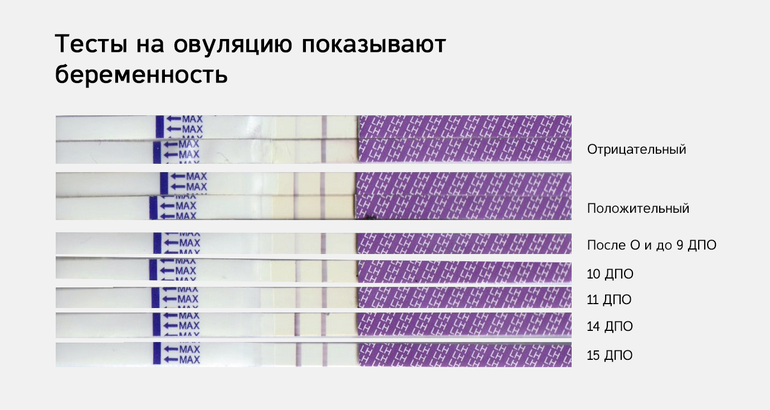 Как определить беременность до задержки: Ранние признаки и ощущения