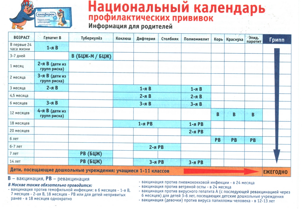 Национальный календарь профилактических прививок проект