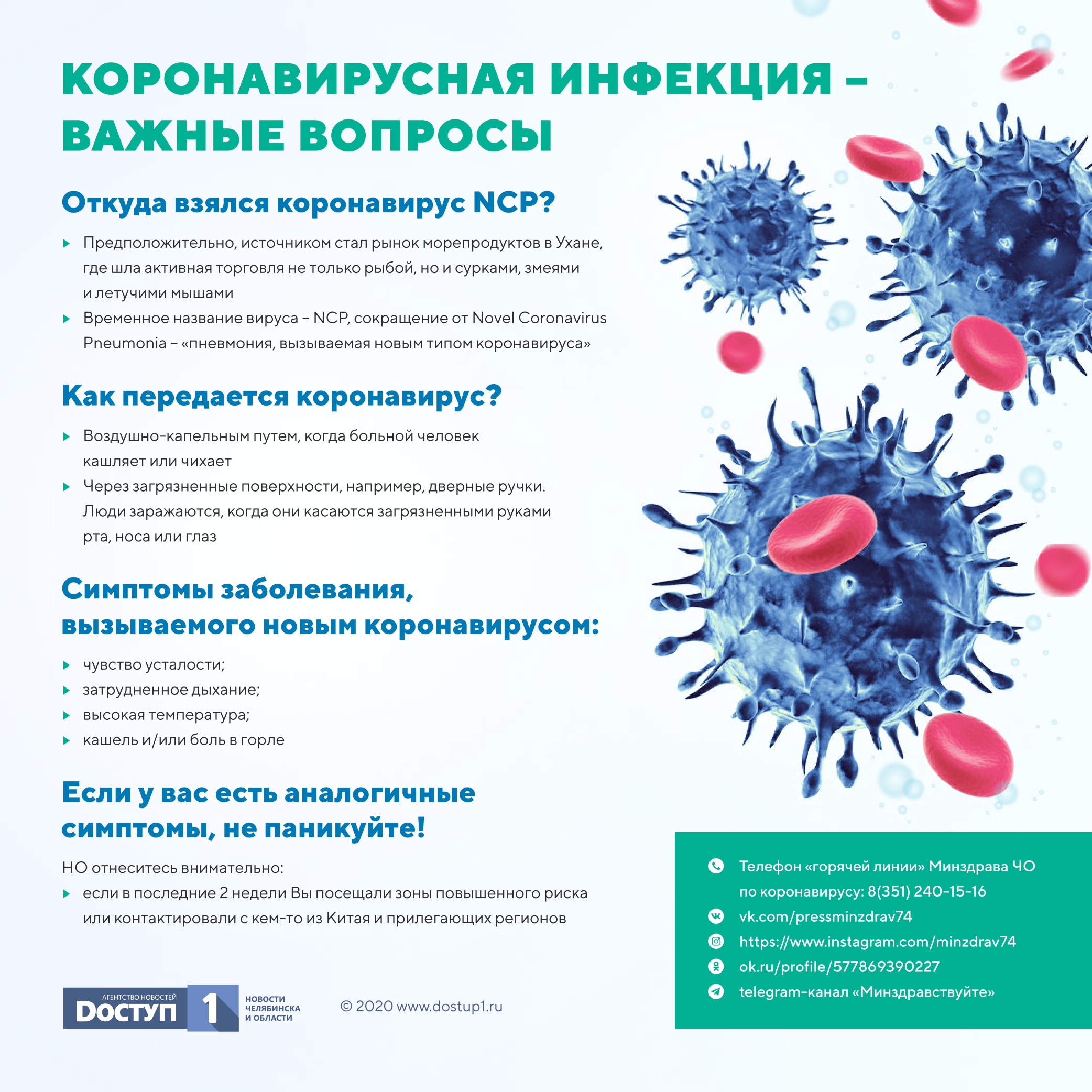 Как распознать протозойные инфекции: Скрытые угрозы и защита организма