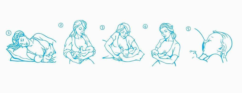Как безопасно кормить новорожденного лежа: Секреты комфортного грудного вскармливания