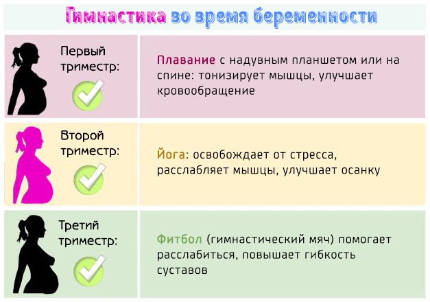 Можно ли в первый триместр. При беременности 1 триместр. Упражнения при беременности 1 триместр. Упражнения для беременной первый триместр. 2-3 Триместр беременности.