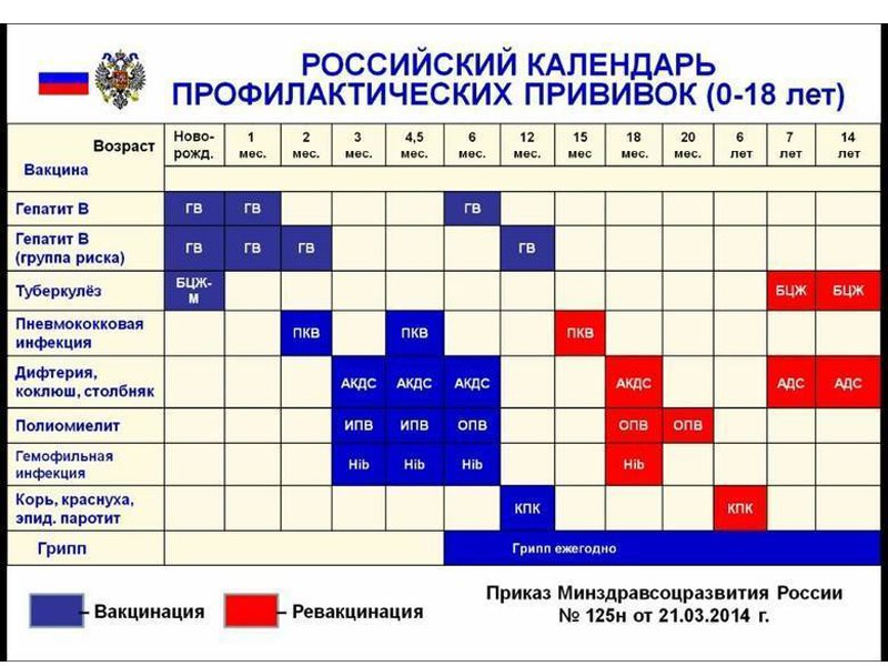 Прививки после 5 лет. График прививок для детей до года в России таблица 2021. Календарь прививок для детей 2021 в России таблица. Календарь прививок 2021 для детей до года в России таблица. Национальный календарь прививок РФ 2021.