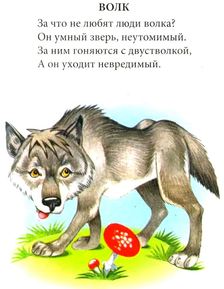 Волк детям о животных