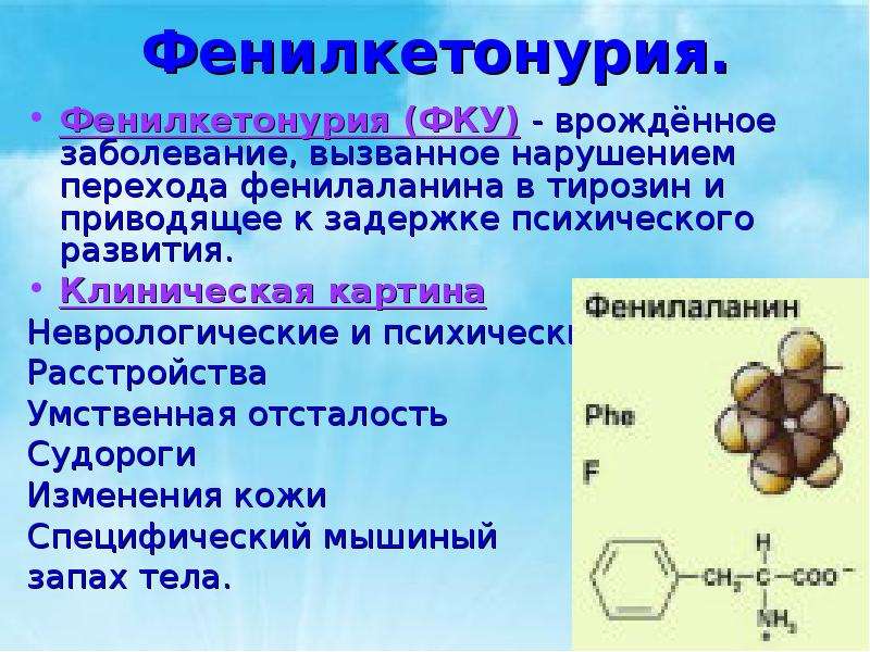 Фенилкетонурия что. Генетика человека презентация. Генетика и здоровье презентация. Презентация на тему генетика и здоровье человека. Генетика человека презентация 10 класс.