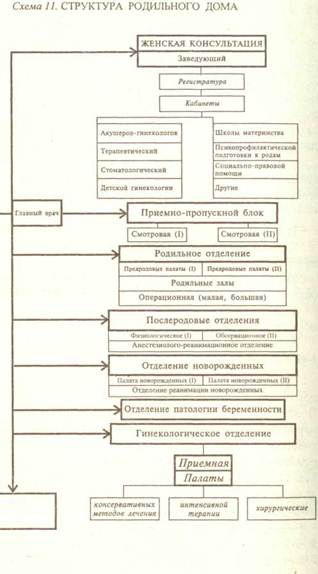 Структура родильного дома