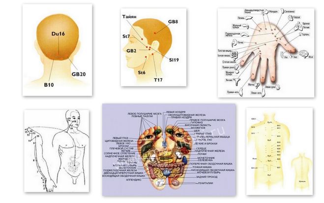 Биологически активные точки на теле человека фото с описанием