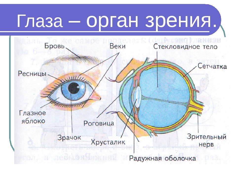 Как развивается зрение и слух младенца: Удивительное путешествие в мир чувств