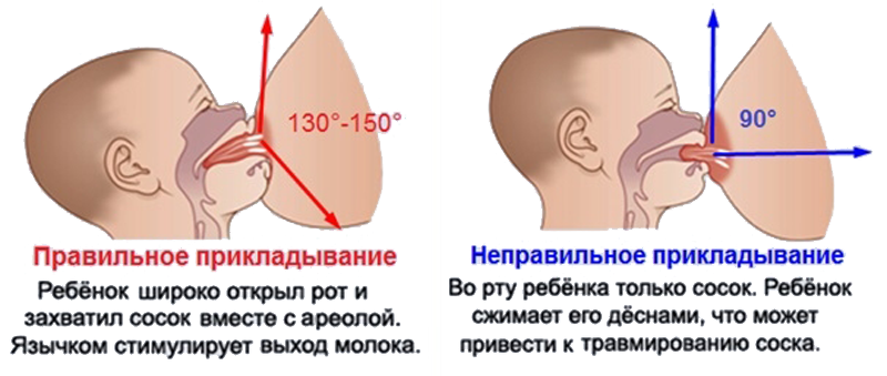 Как правильно кормить грудью новорожденного: Секреты здорового питания малыша