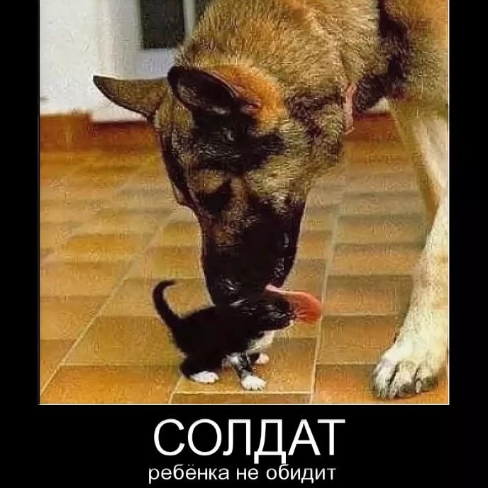 цитаты про обещания. обещаю не обижу. давай мириться. обещаю не обижу. открытка я не обижаюсь на тебя.