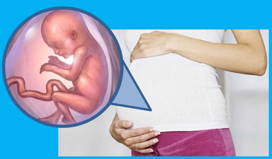 17 недель шевеление плода. Эмбрион на 17 неделе беременности. Плод ребенка на 17 неделе беременности. Ребёнок на 18 неделе беременности.
