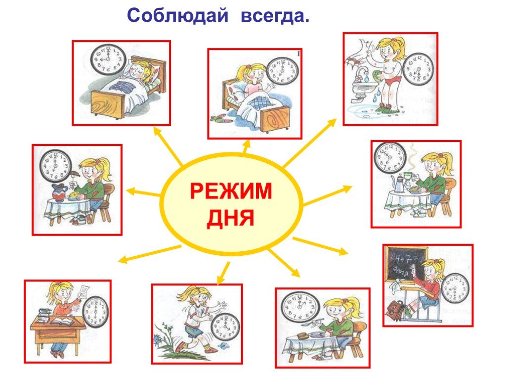 Распорядок дня школьника в картинках для мальчика