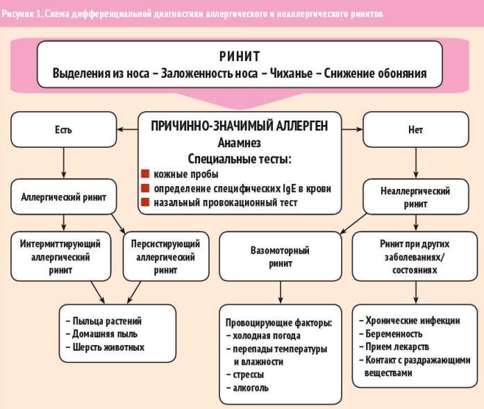 Ринит у детей презентация