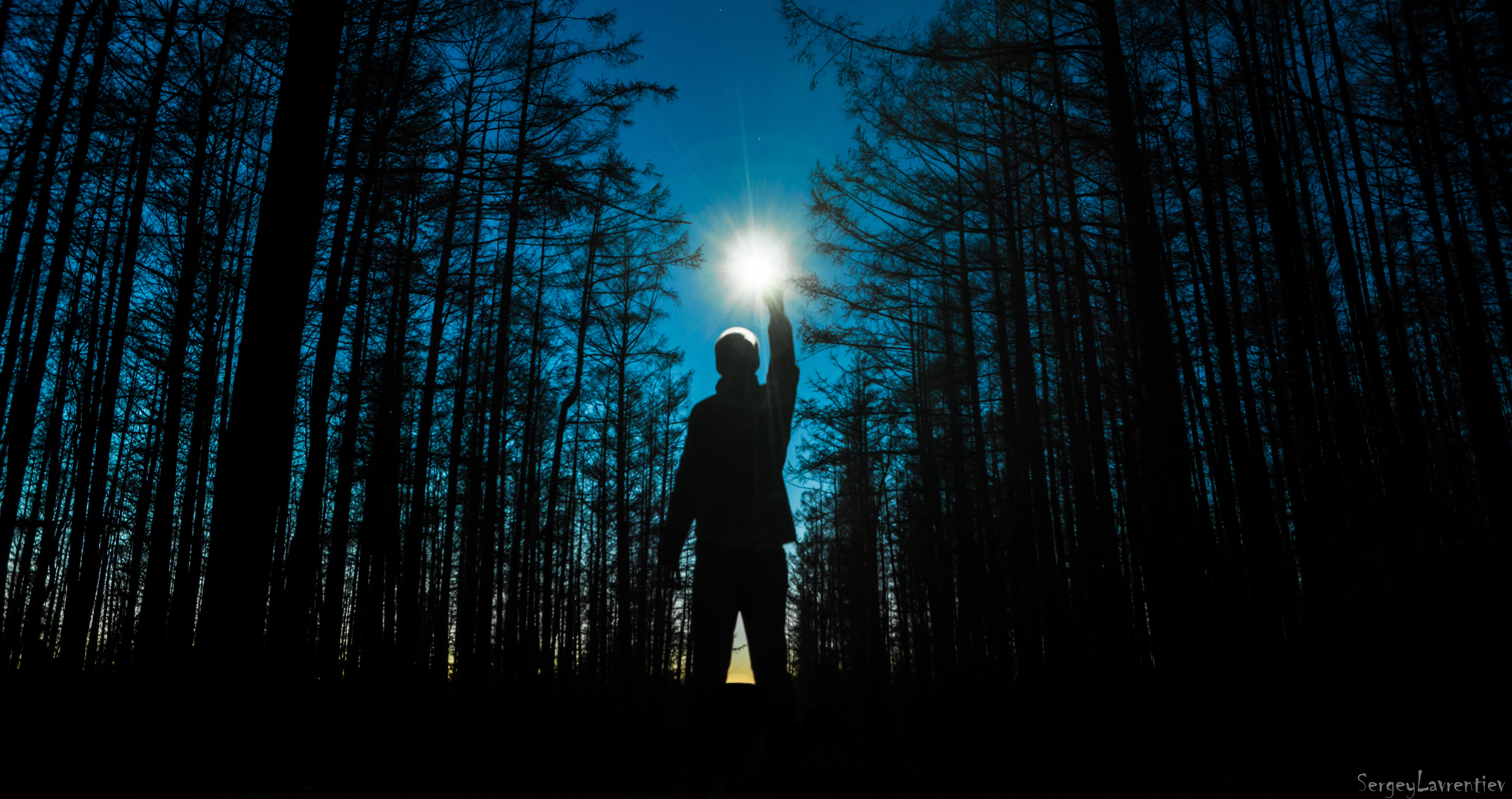 Как мистика леса оживает в ночной тиши: Захватывающее путешествие в мир теней