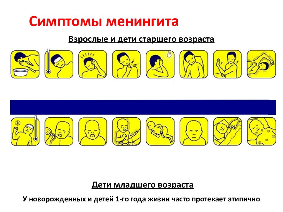 Как распознать менингит у ребенка: Советы доктора Комаровского