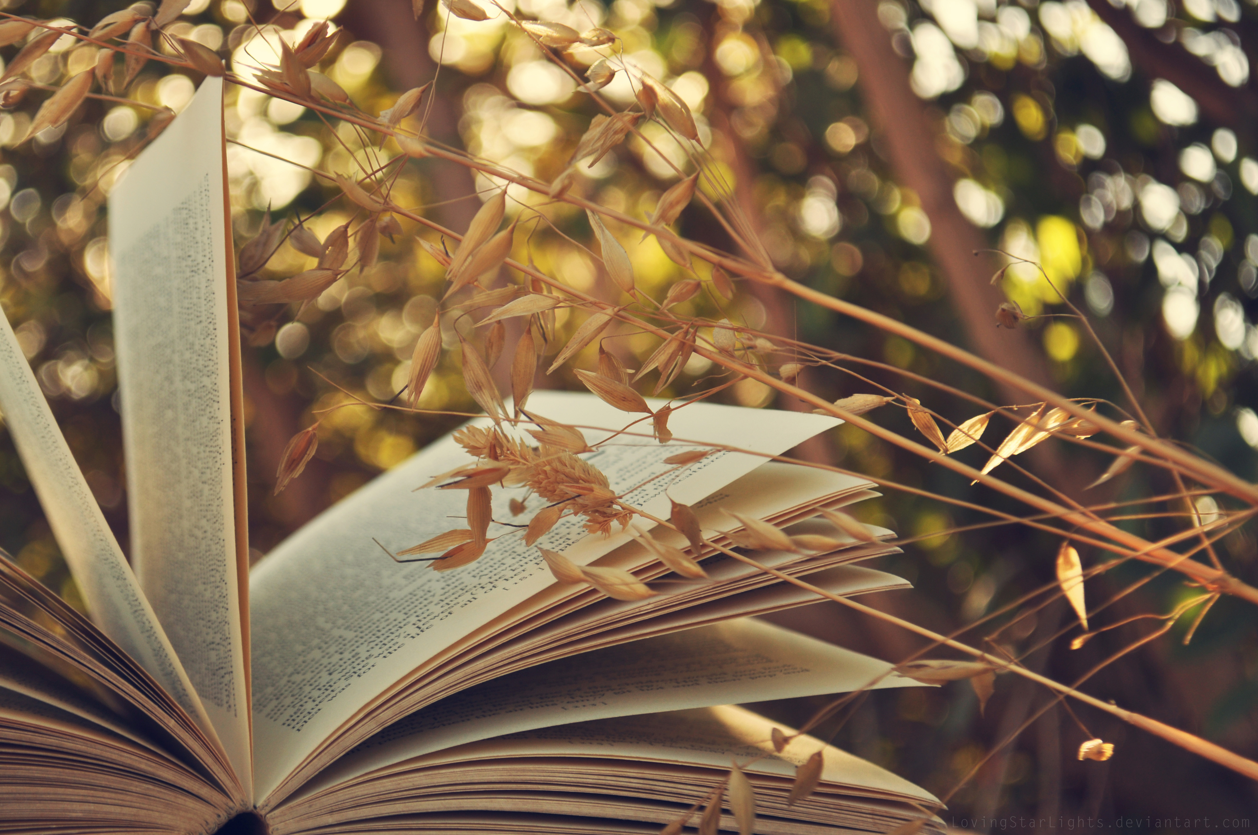 Как "Имя рассказа" вдохновляет читателей: Путешествие по миру литературы