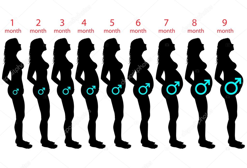 19 неделя беременности: сколько это месяцев и что происходит с малышом