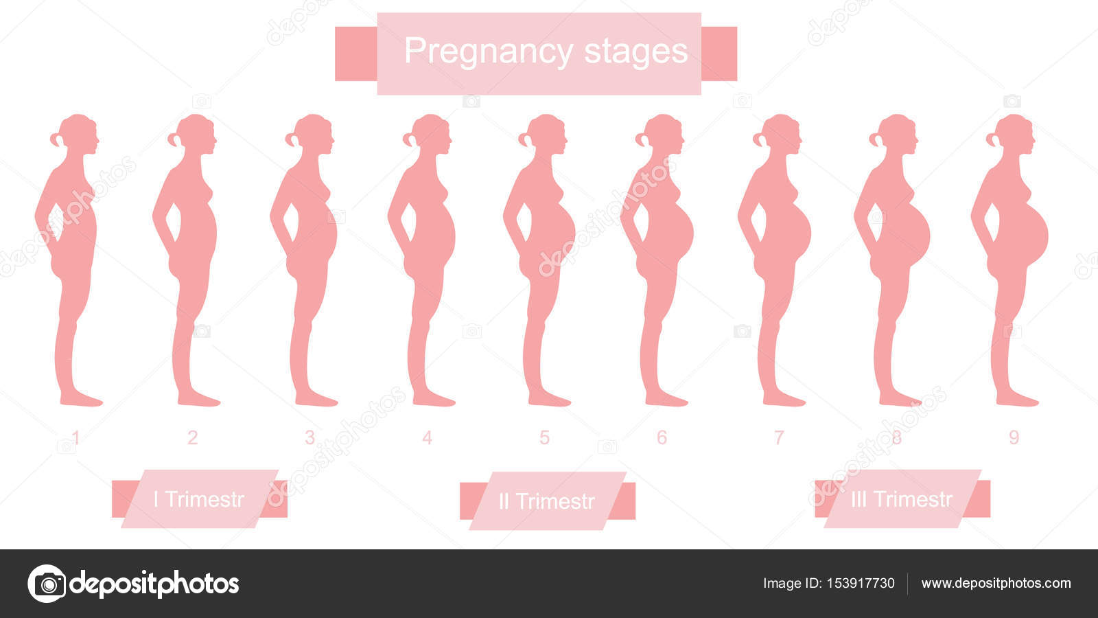 Как изменяется тело во время триместров беременности: Путешествие в мир будущих мам