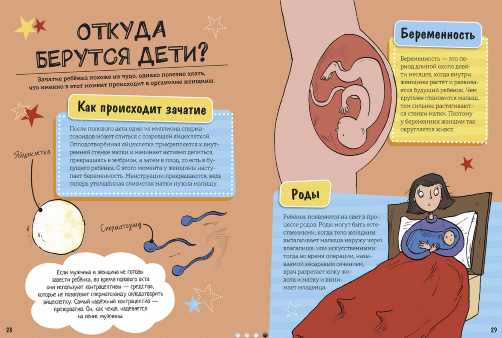 Как распознать зачатие: Секретные сигналы вашего тела