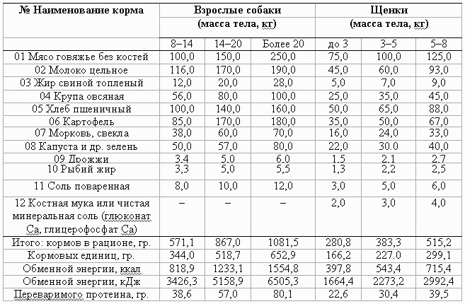 Как правильно кормить лабрадора: Секреты здорового питания для вашего питомца