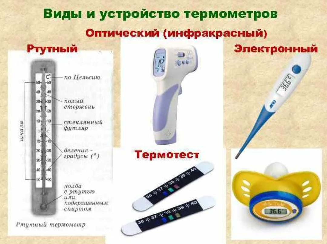 Виды термометров картинки для детей