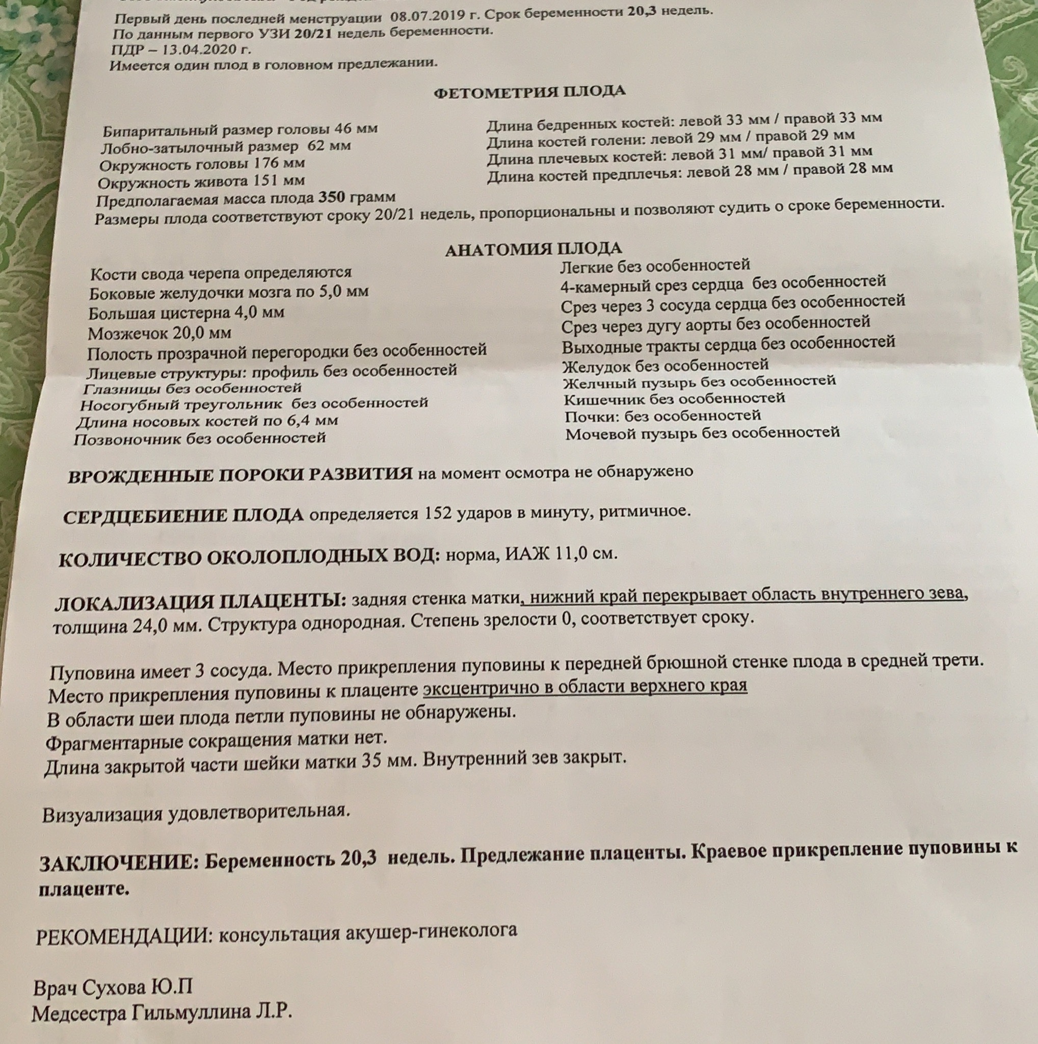 Предлежание на 12 неделе. Предлежание плаценты УЗИ заключение. Краевое предлежание плаценты УЗИ заключение. Низкая плацентация УЗИ заключение. Низкая плацентация протокол УЗИ при беременности.