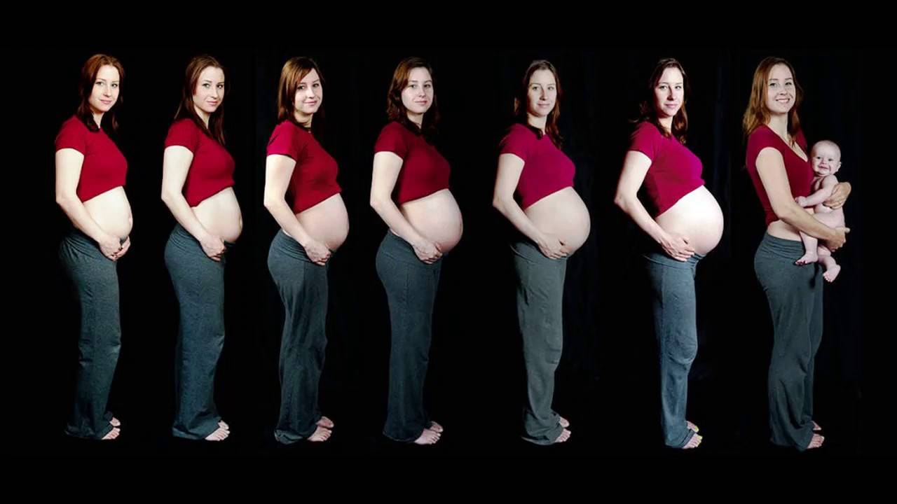 8 9 месяцев беременности. Живот при беременности 4 месяца. Живот беременной по скясцасм. Живот беременной по неделям. Живот беременной женщины по месяцам.