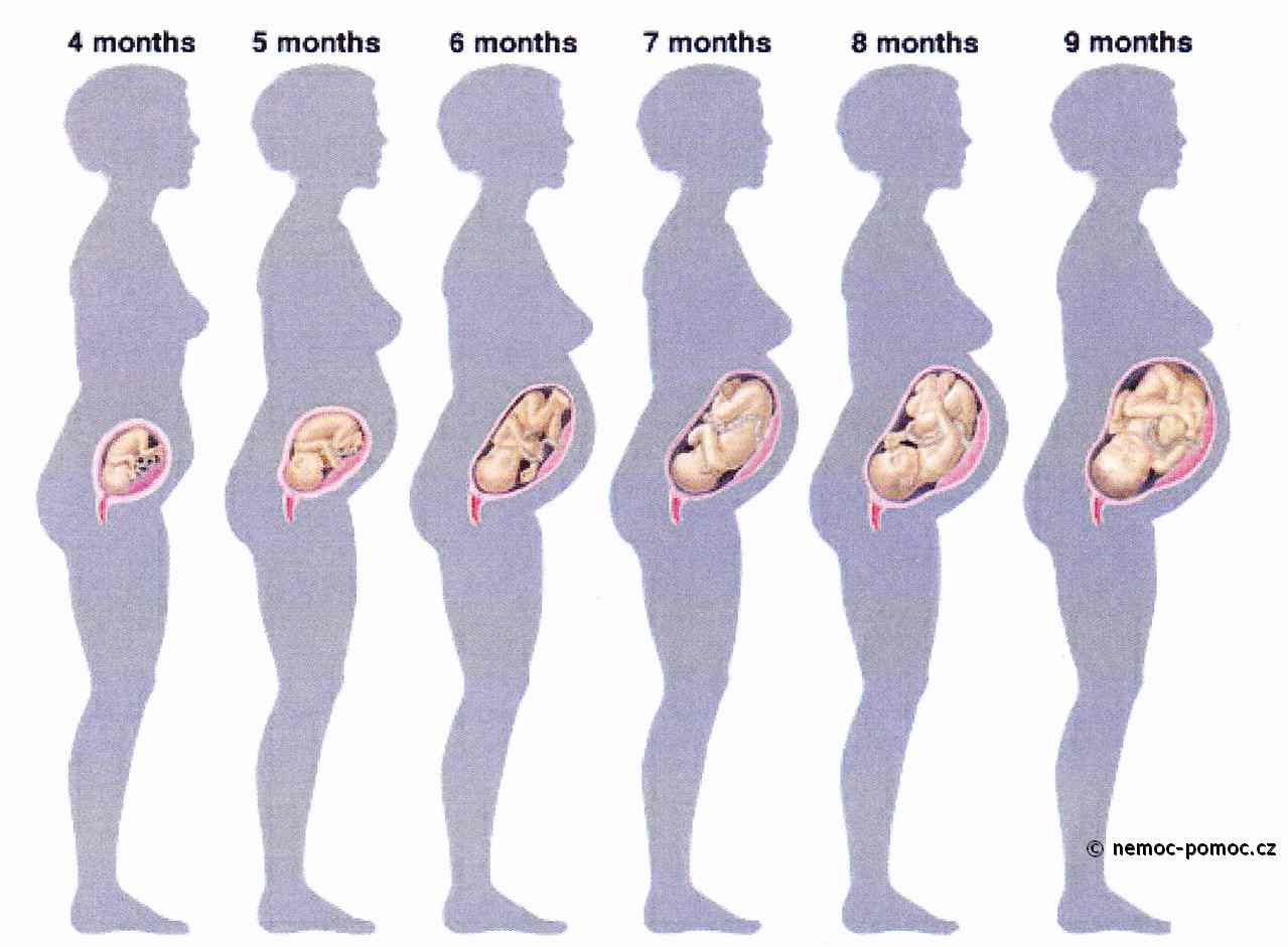 Как проходит беременность на 9 неделе: Удивительные изменения в организме