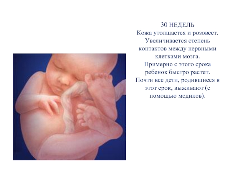 Беременность 30 недель кровь. Ребёнок в 30 недель беременности. Ребёнок на 28 неделе беременности.