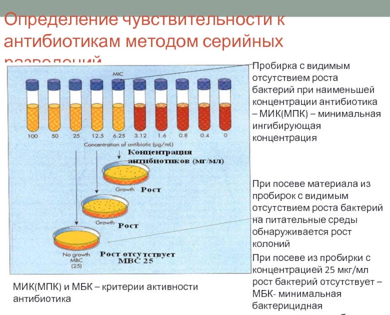 Минимальная среда. Метод разведения для определения чувствительности к антибиотикам. Методы оценки чувствительности бактерий к антибиотикам.