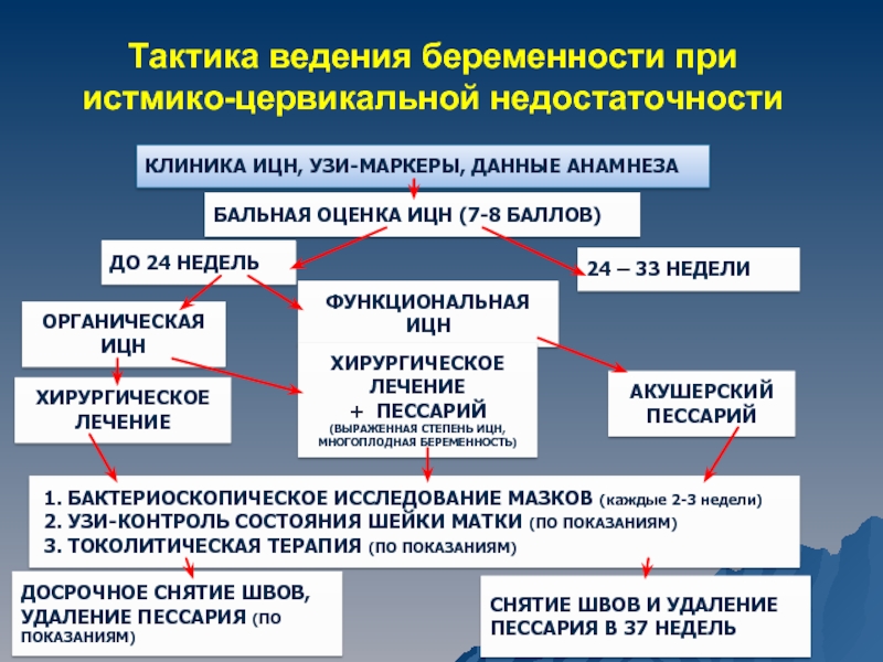 Беспокоит низкий ИЦН при беременности: Секреты комфортного вынашивания