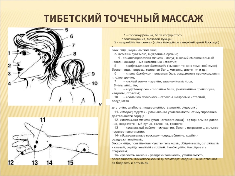 Точки на шее для массажа с описанием и схемами