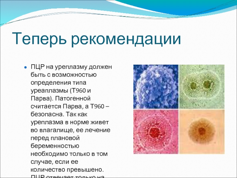 Как избавиться от уреаплазмы при беременности: Безопасное лечение и отзывы